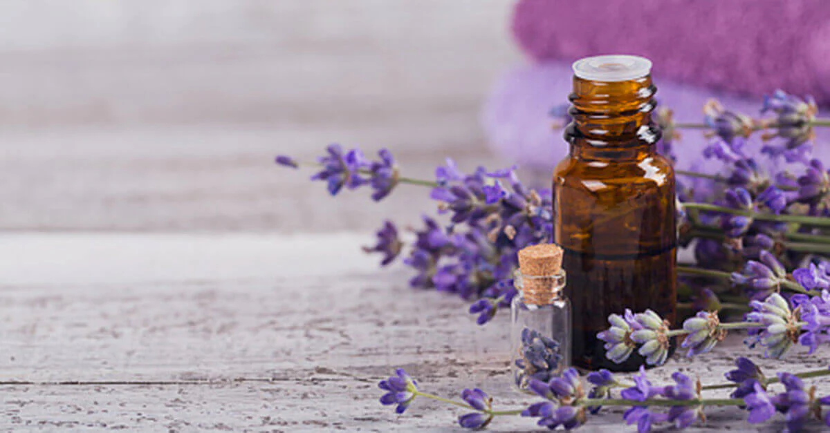 Lavender Essential Oil
