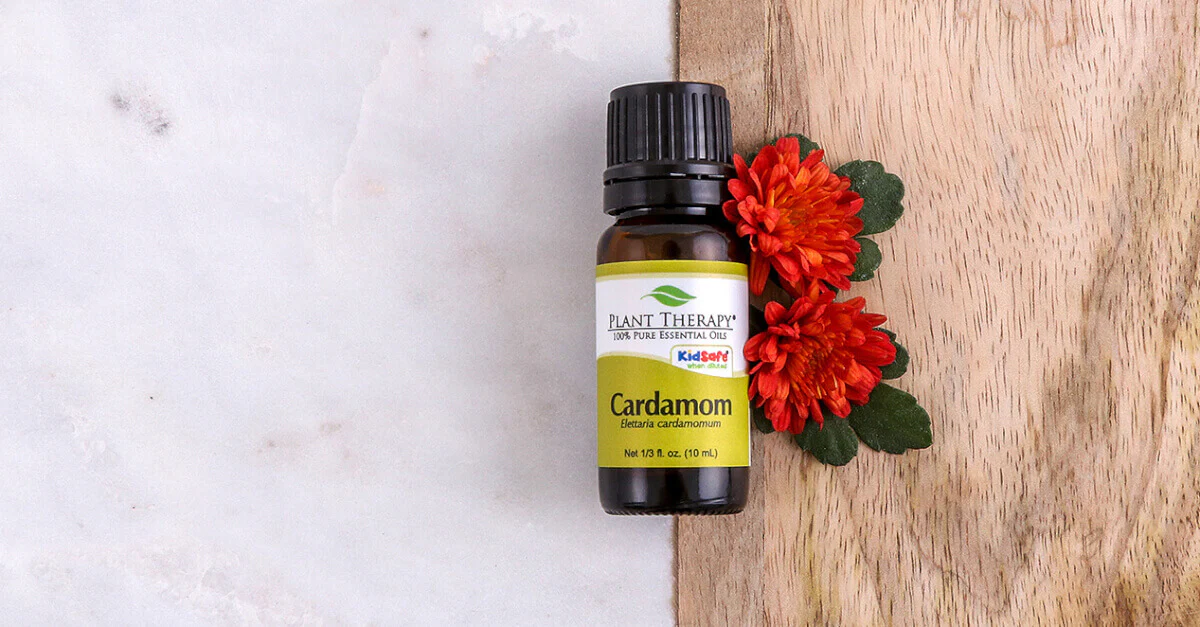 Cardamom Essential Oil