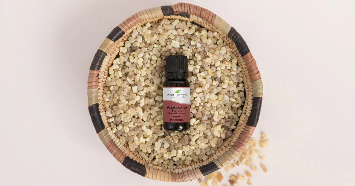 Frankincense Essential Oil
