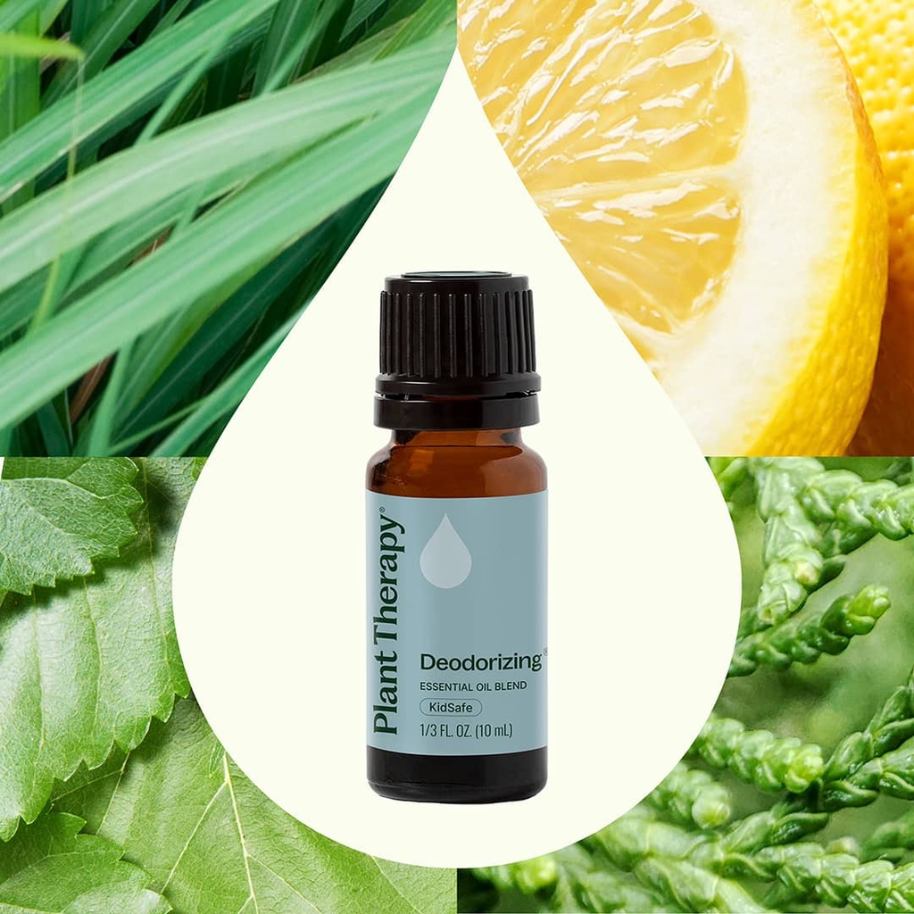 Deodorizing Essential Oil Blend - 10ml - 1