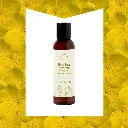 369 Essentials (5).webp