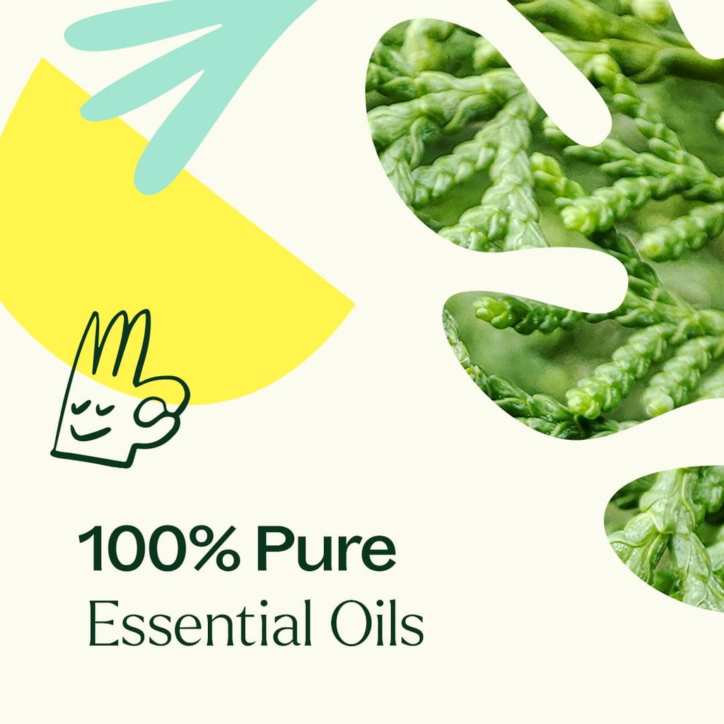 Deodorizing Essential Oil Blend - 10ml - 4