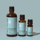 Deodorizing Essential Oil Blend - 10ml - 12