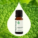 Peppermint Essential Oil - 1