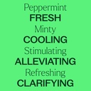 Peppermint Essential Oil - 4