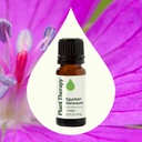 Egyptian Geranium Essential Oil - 10ml - 1