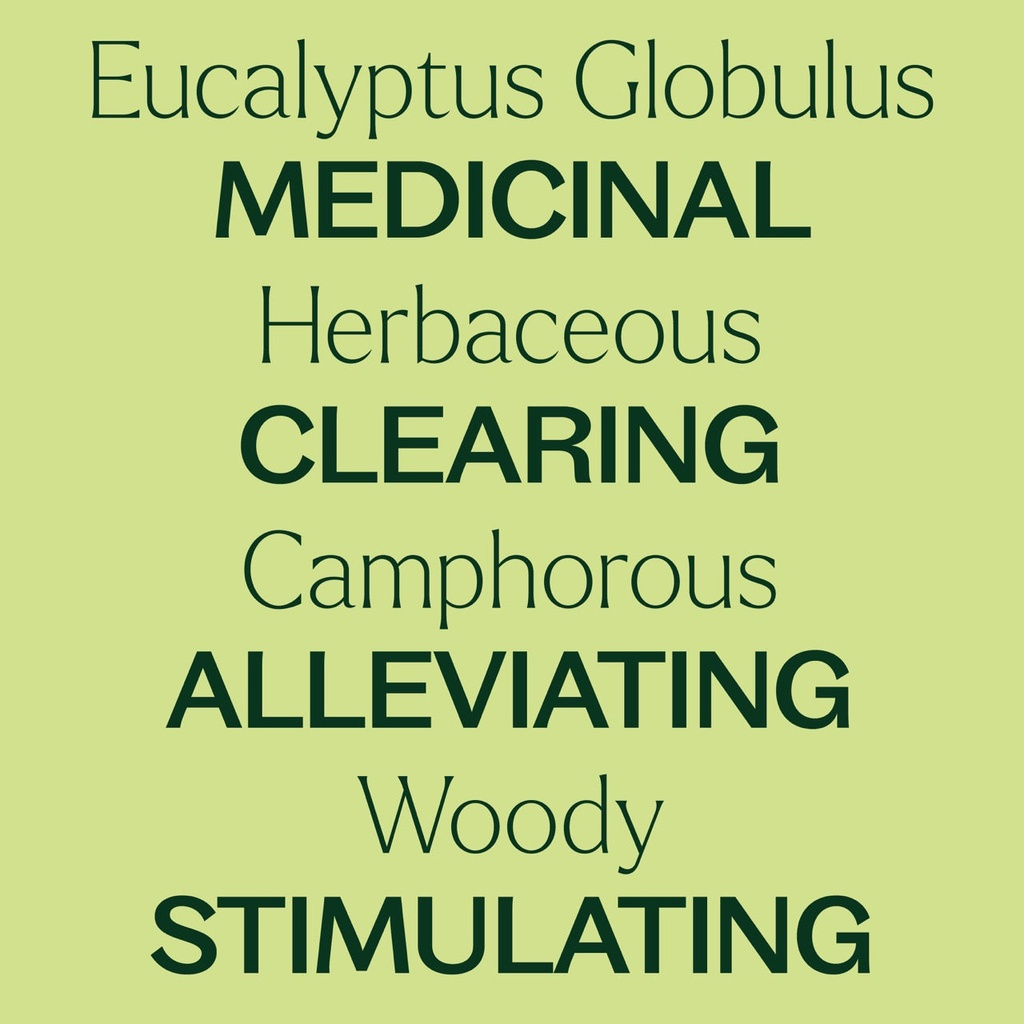 Eucalyptus Globulus Essential Oil - 10ml - 3
