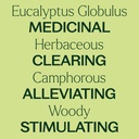 Eucalyptus Globulus Essential Oil - 10ml - 3