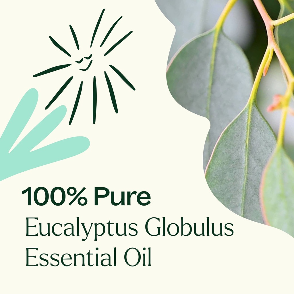 Eucalyptus Globulus Essential Oil - 10ml - 5