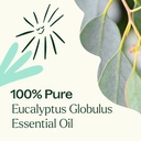 Eucalyptus Globulus Essential Oil - 10ml - 5