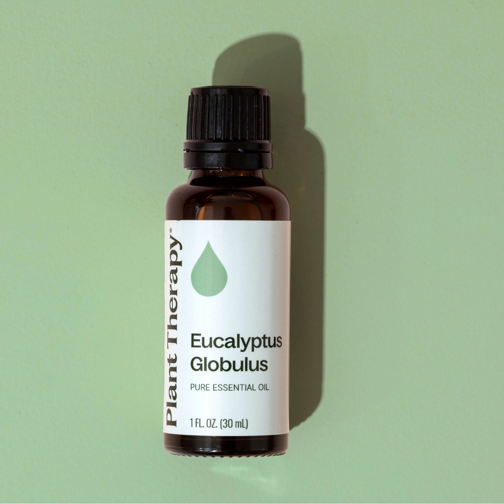 Eucalyptus Globulus Essential Oil - 10ml - 6