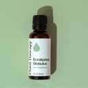 Eucalyptus Globulus Essential Oil - 10ml - 6