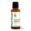 Eucalyptus Globulus Essential Oil - 10ml - 9
