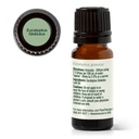 Eucalyptus Globulus Essential Oil - 10ml - 11