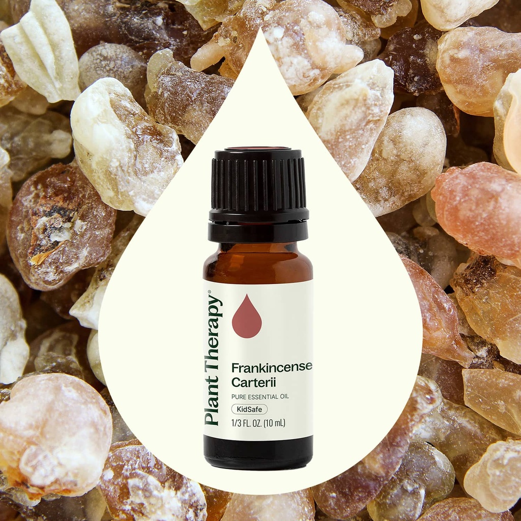 Frankincense Carterii Essential Oil - 10ml - 1