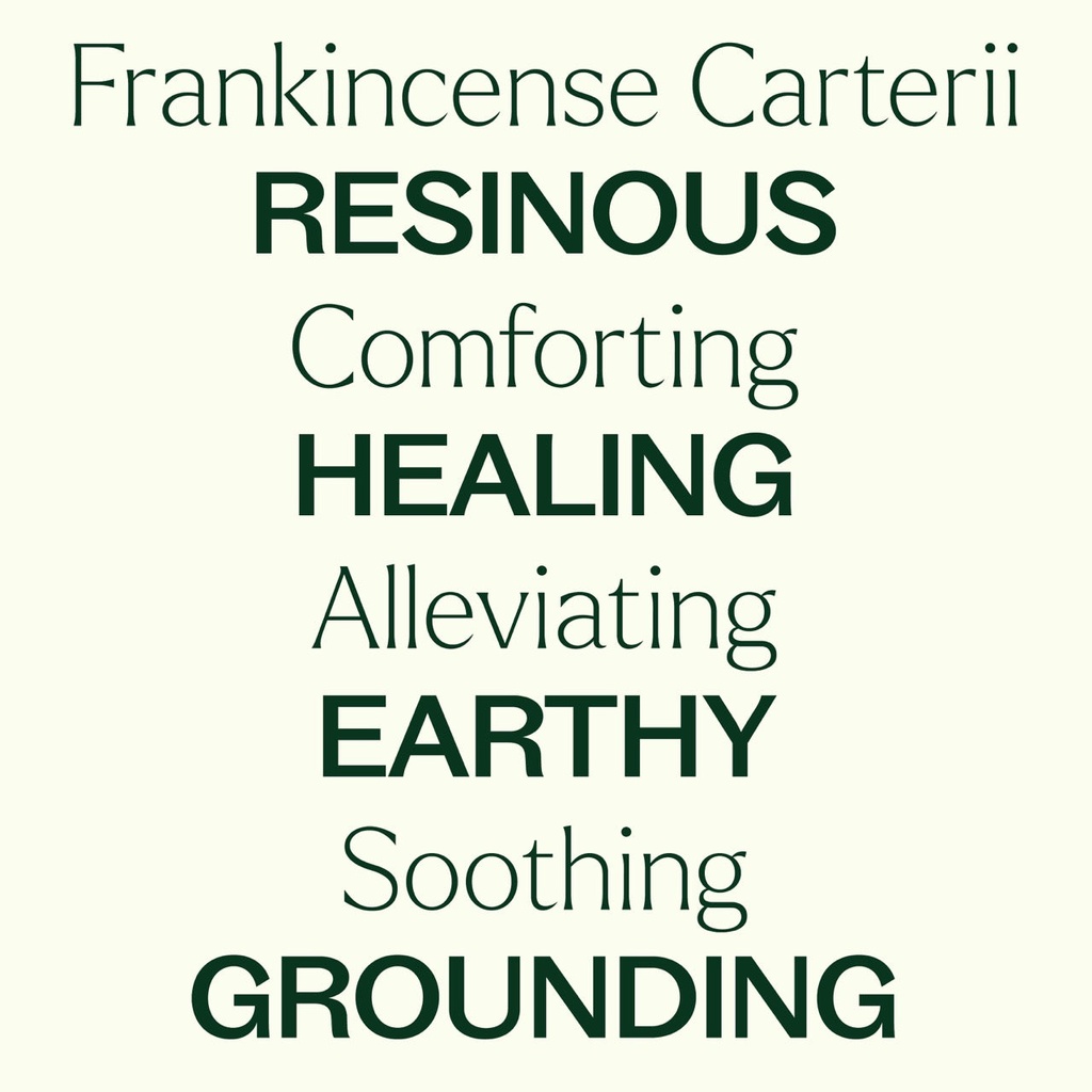 Frankincense Carterii Essential Oil - 10ml - 3