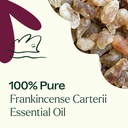 Frankincense Carterii Essential Oil - 10ml - 4