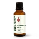 Frankincense Carterii Essential Oil - 10ml - 5