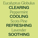 Respir Aid Essential Oil Blend - 10ml - 2