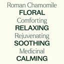 Roman Chamomile Essential Oil - 5ml - 4