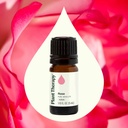 Rose Absolute Essential Oil - 5ml - 1
