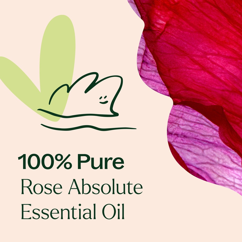 Rose Absolute Essential Oil - 5ml - 3