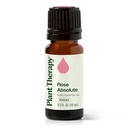 Rose Absolute Essential Oil - 5ml - 6
