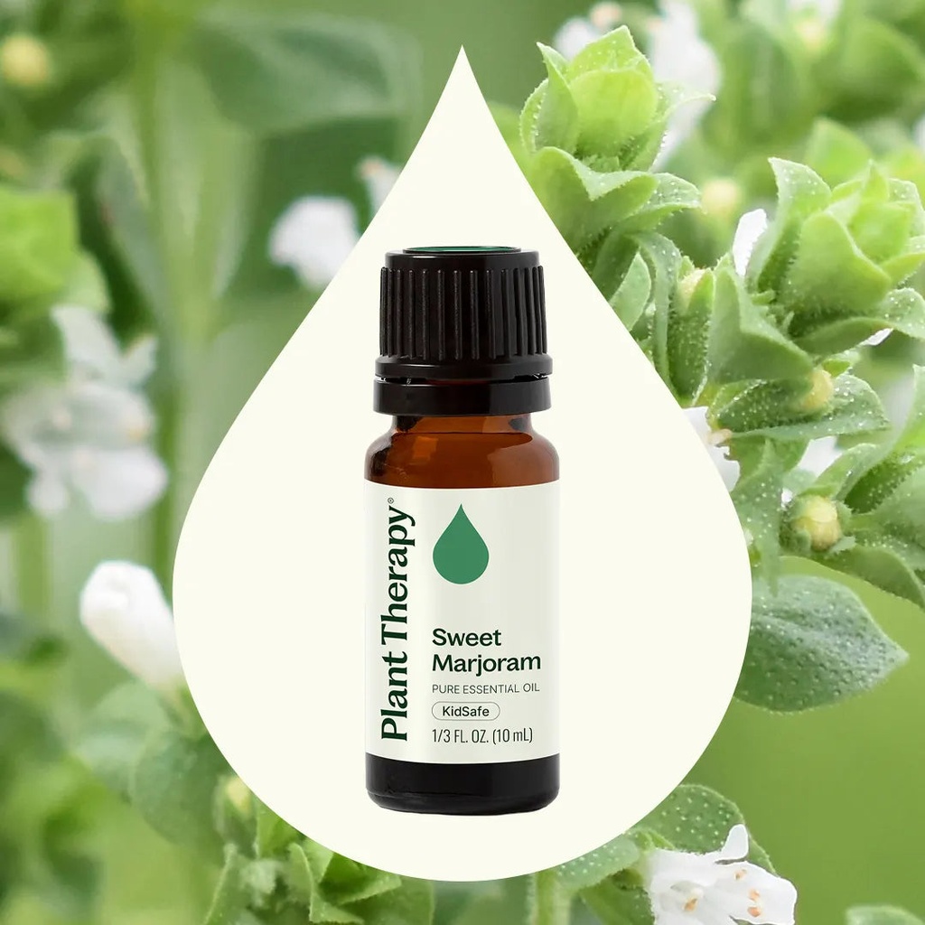 Sweet Marjoram Essential Oil - 10ml - 1