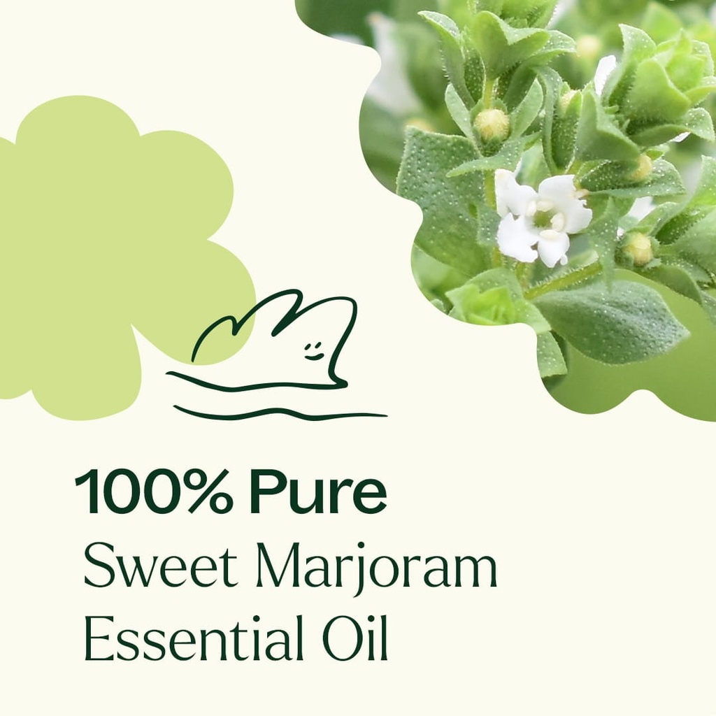 Sweet Marjoram Essential Oil - 10ml - 3