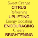 Sweet Orange Essential Oil - 10ml - 3