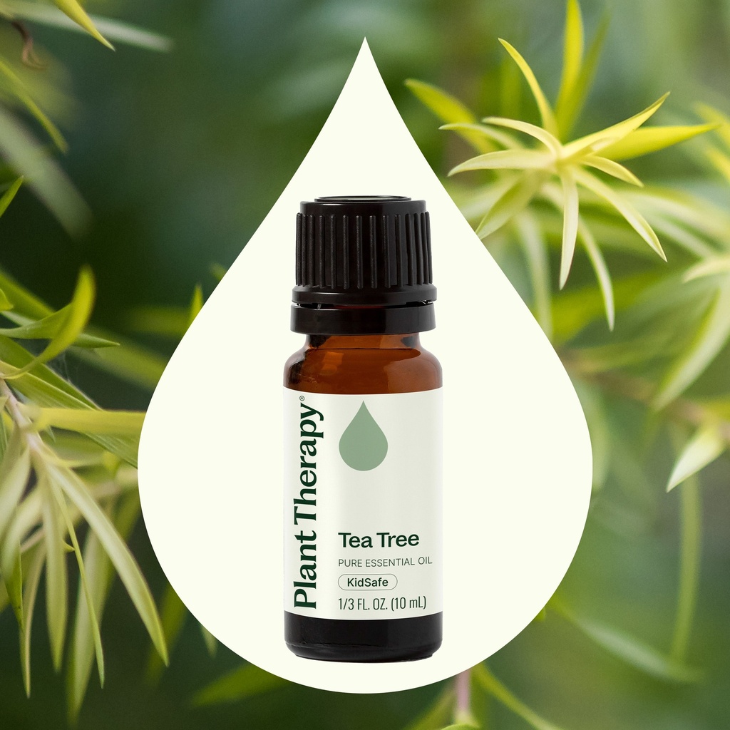 Tea Tree Essential Oil - 10ml - 1