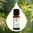 Tea Tree Essential Oil - 10ml - 1