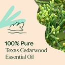 Texas Cedarwood Essential Oil - 10ml - 2