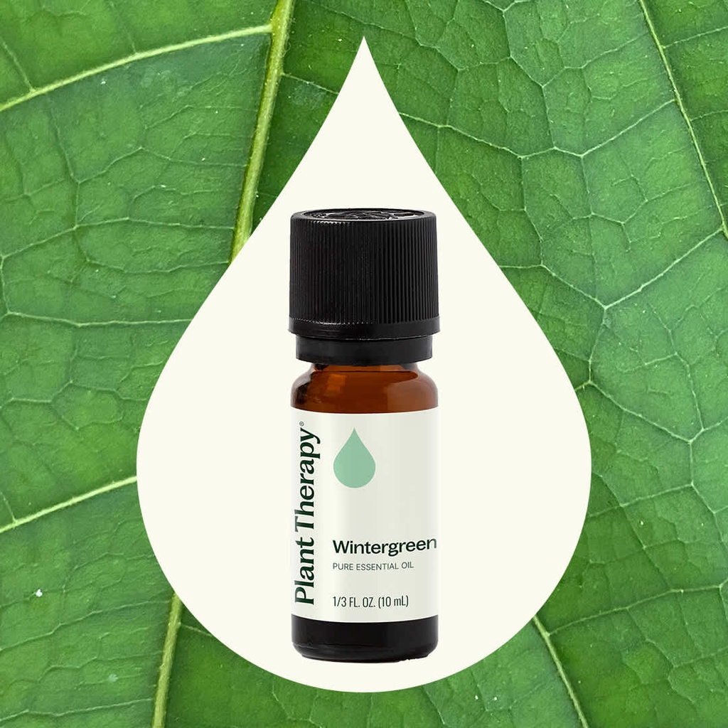 Wintergreen Essential Oil - 10ml - 1