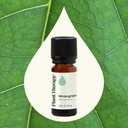Wintergreen Essential Oil - 10ml - 1