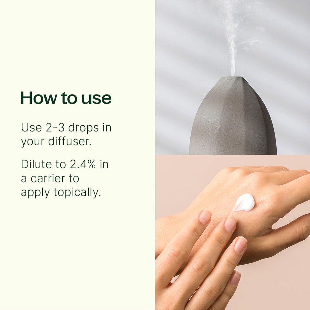 Wintergreen Essential Oil - 10ml - 2