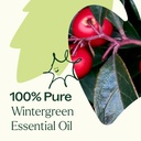 Wintergreen Essential Oil - 10ml - 3