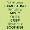 Wintergreen Essential Oil - 10ml - 4