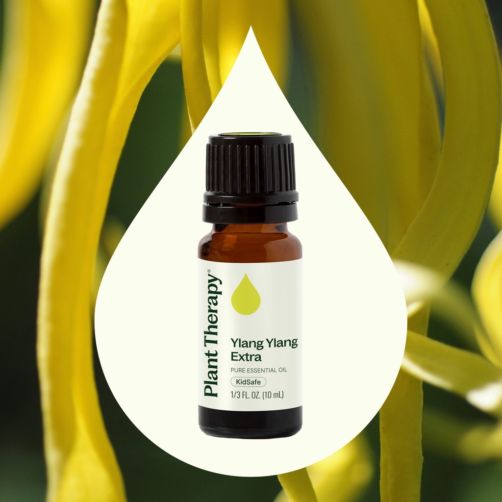 Ylang Ylang Extra Essential Oil - 10ml - 1