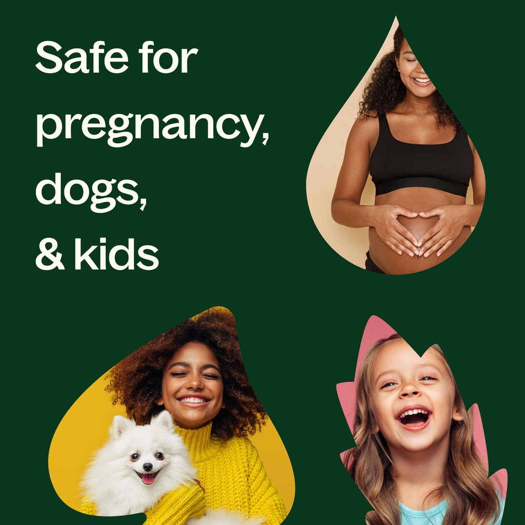 Ylang Ylang Extra Essential Oil - 10ml - 5