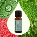 Zit Fighter Essential Oil Blend - 10ml - 1