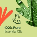 Zit Fighter Essential Oil Blend - 10ml - 5