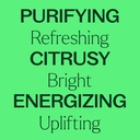 Lime Essential Oil - 30ml - 2