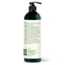 Tea Tree & Peppermint Body Wash - 16oz - 11