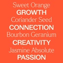 Joyful Creation 2 x 10 ml - 4