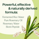 Rosemary & Rice Water Daily Hair Growth Spray - 4 oz - 2