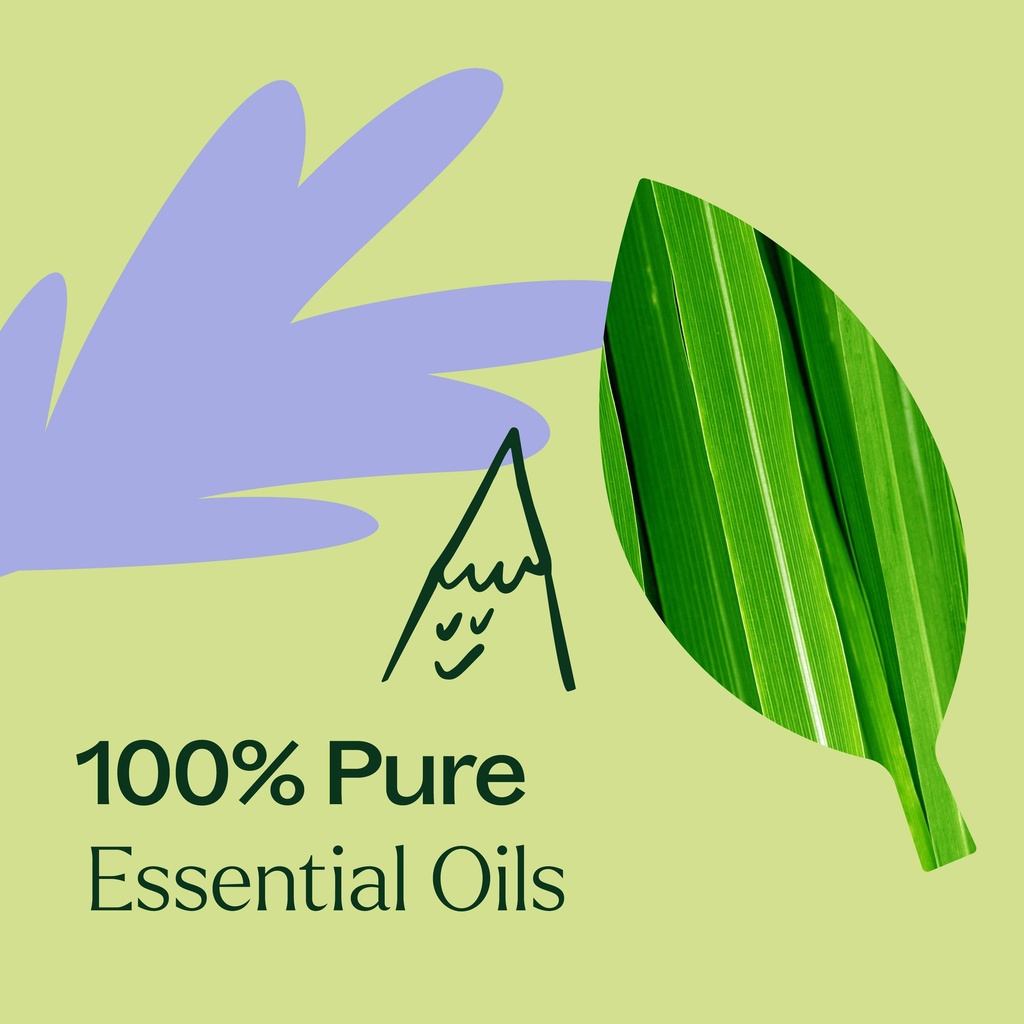 Balance Essential Oil Blend - 10ml - 3