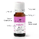 hocus_focus_kidsafe_eo_blend-10ml-03_1946x.webp