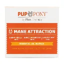 ManeAttraction-EO-Set-PupAndPony-10ml-BoxFront_480x480.webp