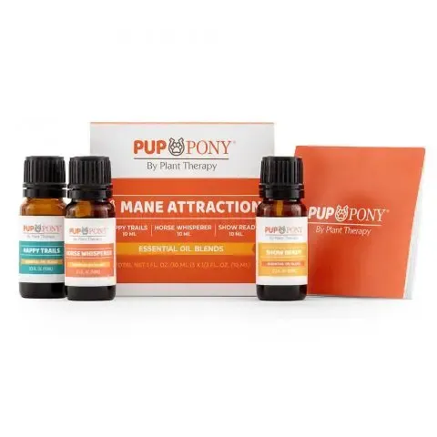 ManeAttraction-EO-Set-PupAndPony-10ml-AllFront_480x480.webp
